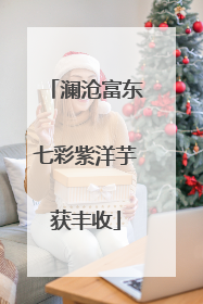澜沧富东七彩紫洋芋获丰收